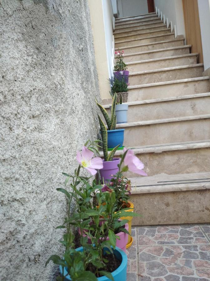 Villa Vasili Skiathos Town Bagian luar foto